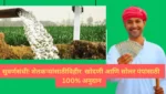 Namo Shetkari Yojana 6th Installment:शेतकारीच्या खात्यात जमा होतील सहाव्या हपत्याचा निधी Vihir and Pump Anudan Yojana -सुवर्णसंधी! शेतकऱ्यांसाठीविहीर खोदणी आणि सोलर पंपांसाठी 100% अनुदान उपलब्ध आहे