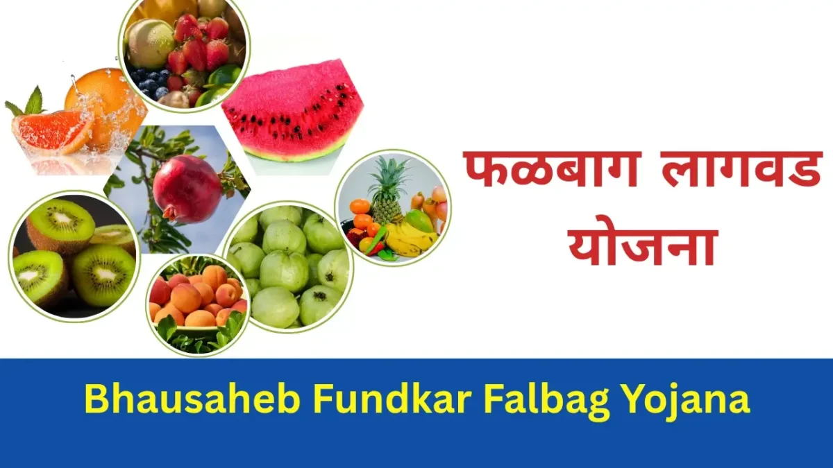 भाऊसाहेब फुंडकर फळबाग लागवड योजना 2025 – महाराष्ट्रातील शेतकऱ्यांसाठी महत्त्वाची योजना-Bhausaheb Fundkar Falbag Yojana2025