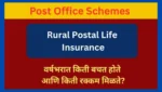 Parcel Tracking India Post 2025: मोबाईल व SMS वरून पार्सल कसे ट्रॅक कराल? पोस्टल जीवन विमा Rural Postal Life Insurance 2025: वर्षभरात किती बचत होते आणि किती रक्कम मिळते?